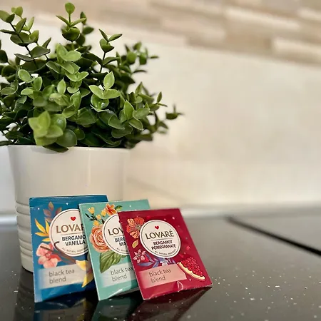 Arena Vibe كلوج-نابوكا