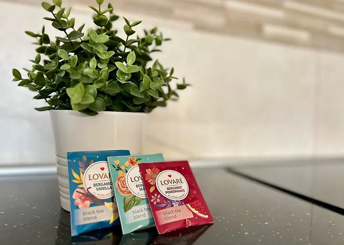 Arena Vibe Cluj-Napoca